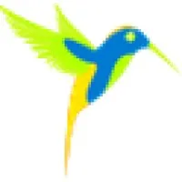 Cfos Inc
