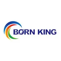 Born King Company Limited