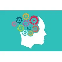 Insight Therapeutic and Wellness Solutions, PLLC