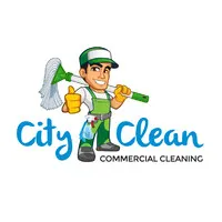 CITYCLEAN LTD