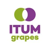 ITUM grapes