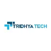 Tridhya Tech Limited Tridhya Tech Limited