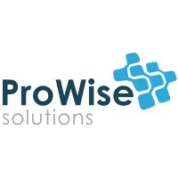 Prowise Solutions Inc