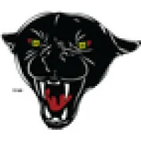Dpms Panther Arms