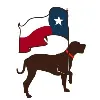 Let's Walk Austin