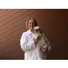 Whippany Veterinary Hospital