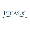 Grupo Pegasus Grupo Pegasus