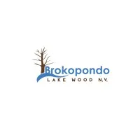 Brokopondo Lake Wood N.V.