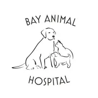 Bay Animal Hospital Bay Animal Hospital