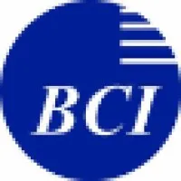 Business Consulting Institute