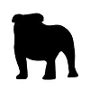 Bulldog Innovation Group, LLC Bulldog Innovation Group, LLC