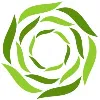 Global Turf Global Turf