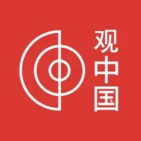 Observa China 观中国