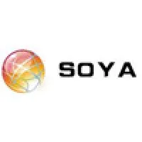SOYA Steel Ball Co., Ltd.