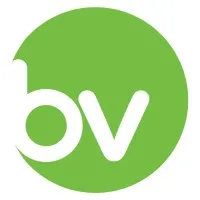 Business Valuations Online