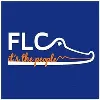 Freshman Leadership Council at UF Freshman Leadership Council at UF