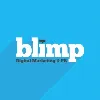 Blimp Digital Marketing & PR