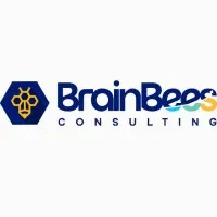 BrainBees Consulting BrainBees Consulting