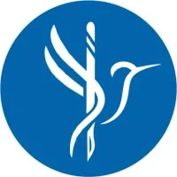 FlytoDoc Medical Tourism Platform