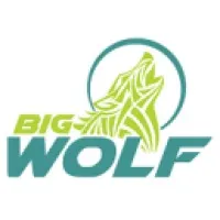 Big Wolf Marketing