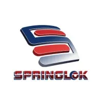 Springlok Holdings (Pty) Ltd