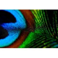 Blue Filament Law PLLC