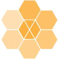AnySkill Flex-Consulting