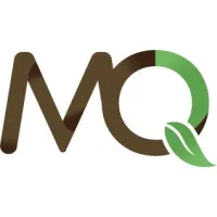 MQ Foundation