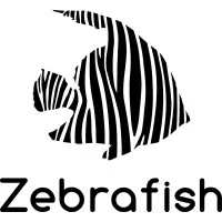 Zebrafish