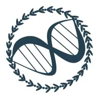 Youth for STEM Equity
