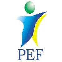 Peace and Equity Foundation