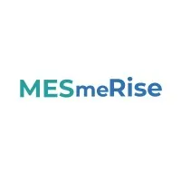 Mesmerise Soft-Tech Private Limited
