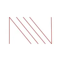The Ness Group