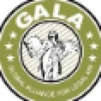 Global Alliance for Legal Aid