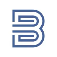 Bravo Lion Consulting Bravo Lion Consulting