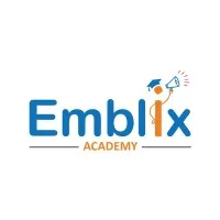 Emblix Academy : Top Digital Marketing Training in Hyderabad