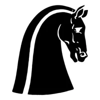 Womble Company, Inc.