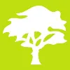Learning Tree Global Learning Tree Global