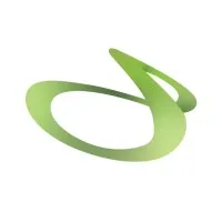 Integrative Leadership Strategies