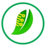 Competitive EZ Corp.