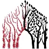 Engineered Living Materials Institute @ Cornell Engineered Living Materials Institute @ Cornell