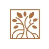 Everglades Financial Everglades Financial