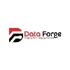 Data Forge