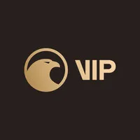 VIP Seguridad