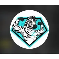 Zee’s Roofing and Construction