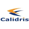 Calidris Calidris