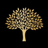 Caspersz Chegini LLP Caspersz Chegini LLP