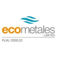 EcoMetales Limited, Filial Codelco