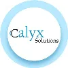 Calyx Solutions UK Ltd Calyx Solutions UK Ltd
