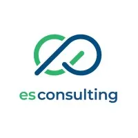 ES Consulting